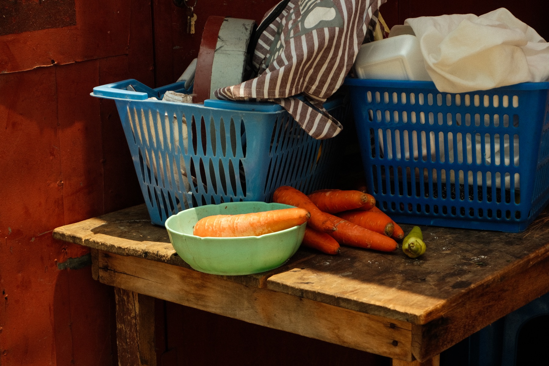 Carrots in the Sun
