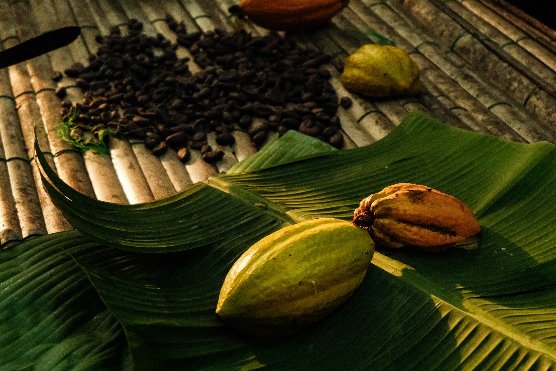 Cocoa Beans