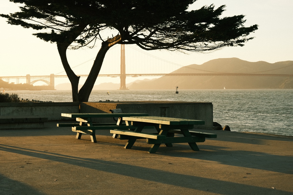sf3