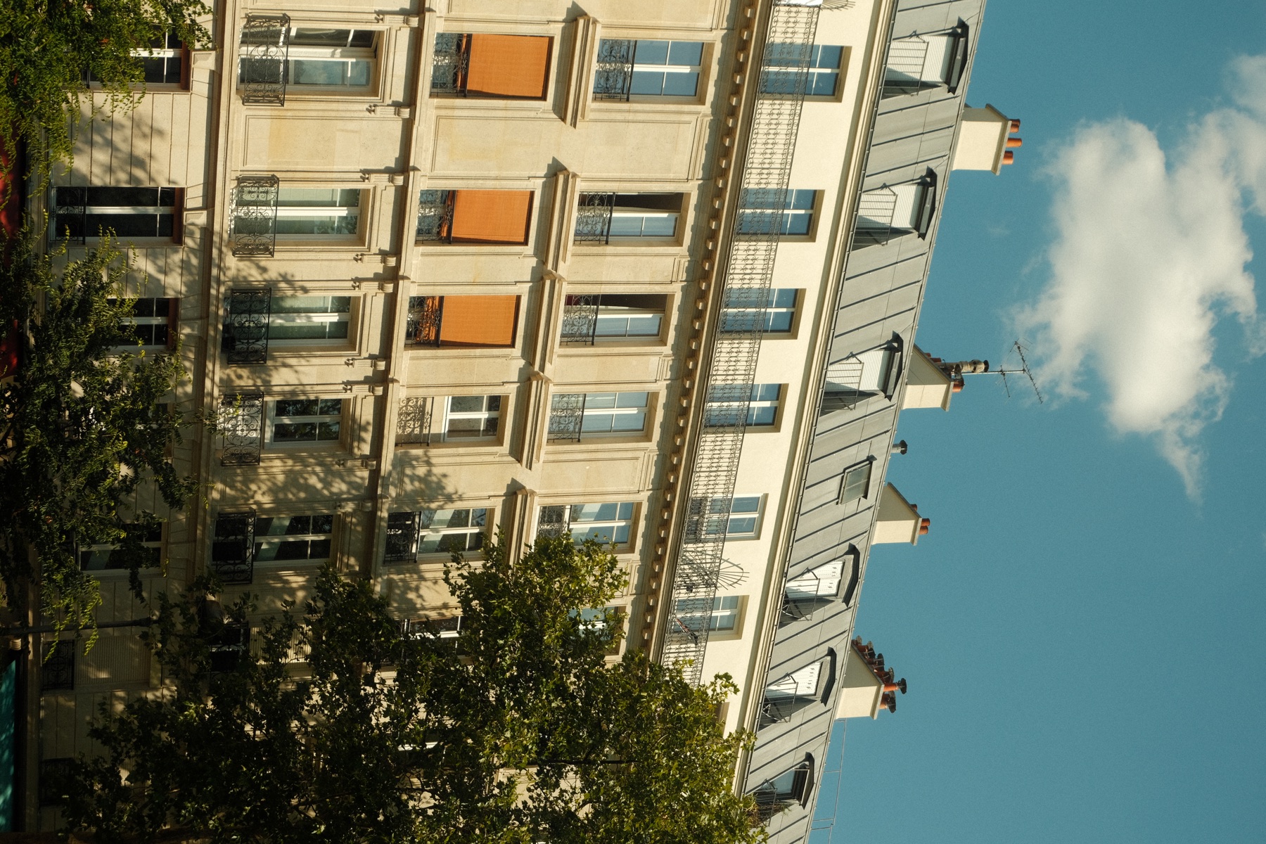 paris roof